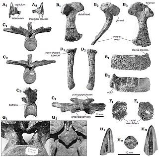 <i>Dakotasuchus</i> Extinct genus of reptiles