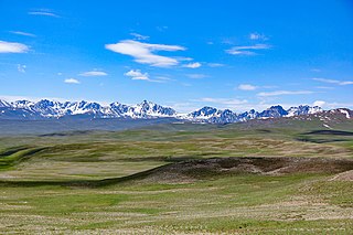 <span class="mw-page-title-main">Deosai National Park</span> National park in Gilgit Baltistan, Pakistan