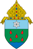 Diocese of Borongan