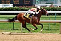 Galopprennen in Churchill Downs, Kentucky (USA)