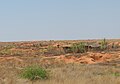 Baraques des mineurs à Ilakaka et paysage déformé