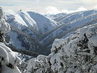 Hotham Alpine Resort