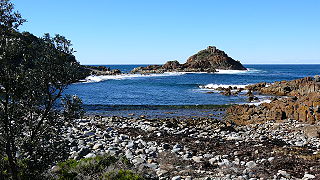 <span class="mw-page-title-main">Mimosa Rocks National Park</span> Protected area in New South Wales, Australia