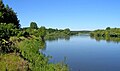 Bug River in the vicinity of Drohiczyn