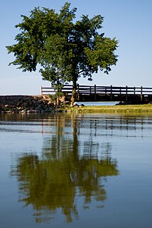 Lake Shetek