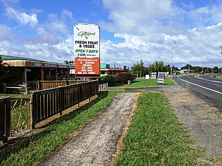 <span class="mw-page-title-main">Te Kowhai</span> Town in Waikato, New Zealand