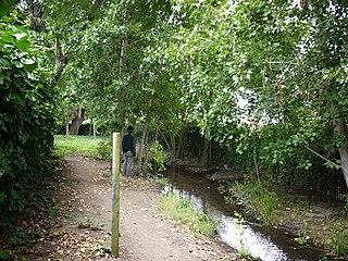 <span class="mw-page-title-main">Frog Park (Rockridge-Temescal Greenbelt)</span>