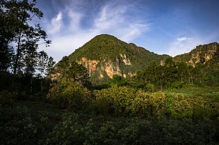 Viñales koe Mogotes dotaxo