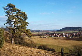 Wiesenthal (Thuringe)