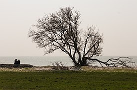 Zicht op het IJsselmeer. Locatie Mirnser Klif 02