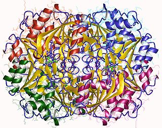 <span class="mw-page-title-main">Asparaginase</span> Enzyme used as medication and in food manufacturing