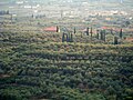 Rural area in the municipality of Agrinio