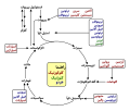 farsi