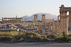 Die historiese terrein Palmyra.