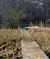 Boardwalk at Woodend Loch (2007)