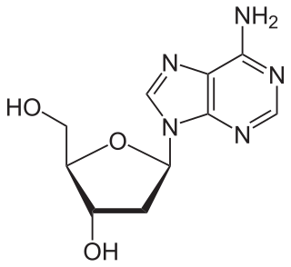 <span class="mw-page-title-main">Nucleoside</span> Any of several glycosylamines comprising a nucleobase and a sugar molecule