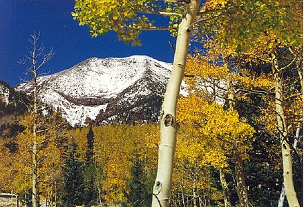 49. Humphreys Peak is the highest summit of the San Francisco Peaks and Arizona.