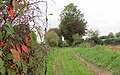 Teil der ehemaligen Bahntrasse, heute ein Wanderweg