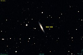 NGC 1686