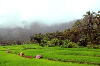 <span class="mw-page-title-main">Netravali Wildlife Sanctuary</span> Located at Goa, India