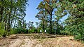 * Kandidimi: Picnic area on the Telegraph Cycle Path --Georgfotoart 11:07, 16 September 2024 (UTC) * * Kërkohet vlerësim