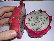 Pitahaya (Rote Drachenfrucht)