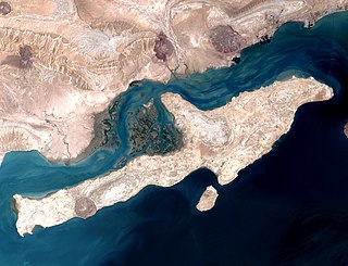 <span class="mw-page-title-main">Qeshm Island</span> Iranian island in the Strait of Hormuz