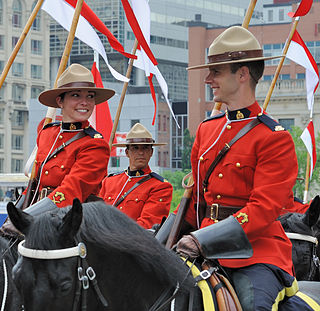 <span class="mw-page-title-main">Law enforcement in Canada</span>