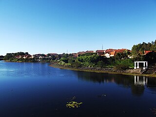 <span class="mw-page-title-main">Robina, Queensland</span> Suburb of Gold Coast, Queensland, Australia