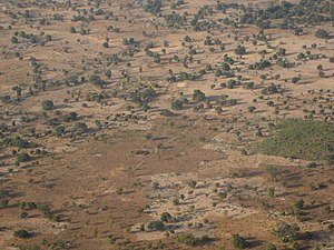 Savanna, west of Ouagadougou, typical of the majority of the country's landscape. Savannaburkina.jpg