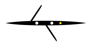 <span class="mw-page-title-main">Coxed pair</span> Boat class used in competitive rowing