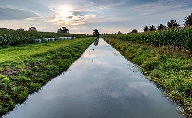 Dülmen, North Rhine-Westphalia, Germany