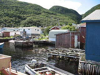 <span class="mw-page-title-main">Grey River, Newfoundland and Labrador</span> Local service district / designated place in Newfoundland and Labrador, Canada