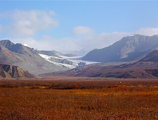 <span class="mw-page-title-main">Isabel Pass</span> Mountain pass of Alaska, US