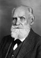 Ivan Pavlov (1849–1936)