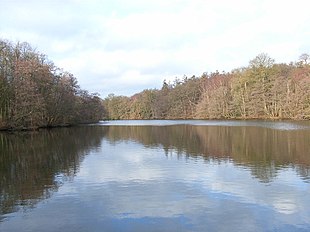 Windsor Great Park