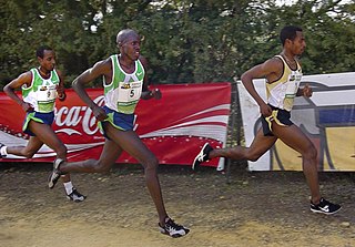 <span class="mw-page-title-main">Abraham Chebii</span> Kenyan long-distance runner