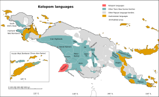 <span class="mw-page-title-main">Kolopom languages</span> Language family in Indonesia