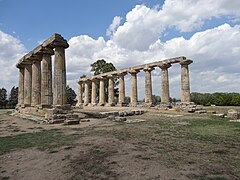 Photographie des vestiges de Metaponto