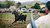 Carrera de caballos de Molledo