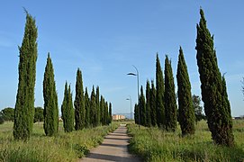 Parc de Centocelle.