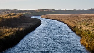 <span class="mw-page-title-main">Pescadero Creek</span> River in California, United States