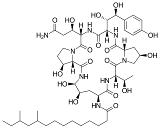 Pneumocandin B<sub>0</sub> Chemical compound