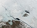 Wrangel Island]]