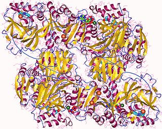 <span class="mw-page-title-main">Sphingosine kinase</span> Class of enzymes