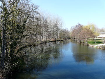 La Dronne au pont de la RD 708, marque la limite entre Ribérac (à gauche) et Villetoureix.