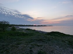 The shoreline on the northeastern side of Paljassaare.