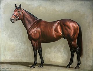 <span class="mw-page-title-main">Fastnet Rock (horse)</span> Australian-bred Thoroughbred racehorse