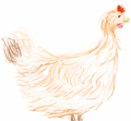 Drawing of a rooster