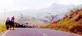 Highland Highway, Eastern Highlands